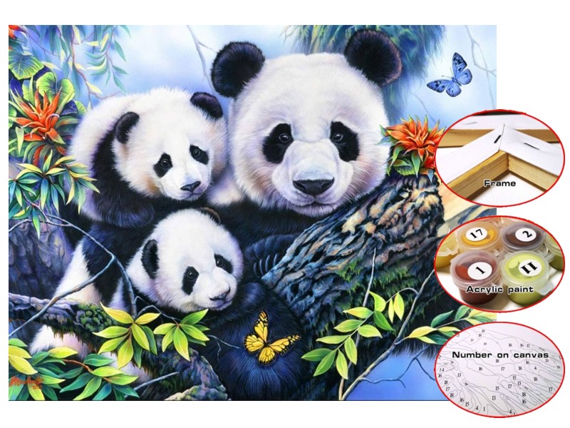IMPAP - Vászon 30 x 40 cm-es festék szám szerint - Pandák